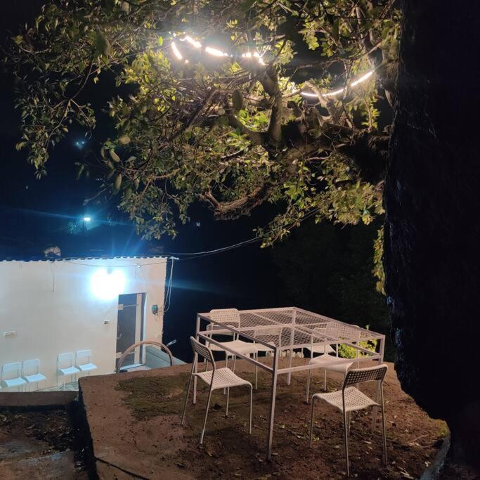 מאונט אבו Valley Nest For 6-12 Pax מראה חיצוני תמונה